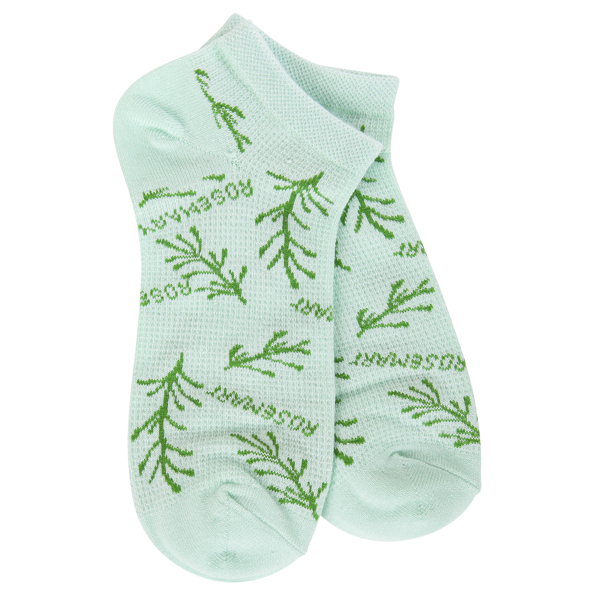 Weekend Garden Low Rosemary